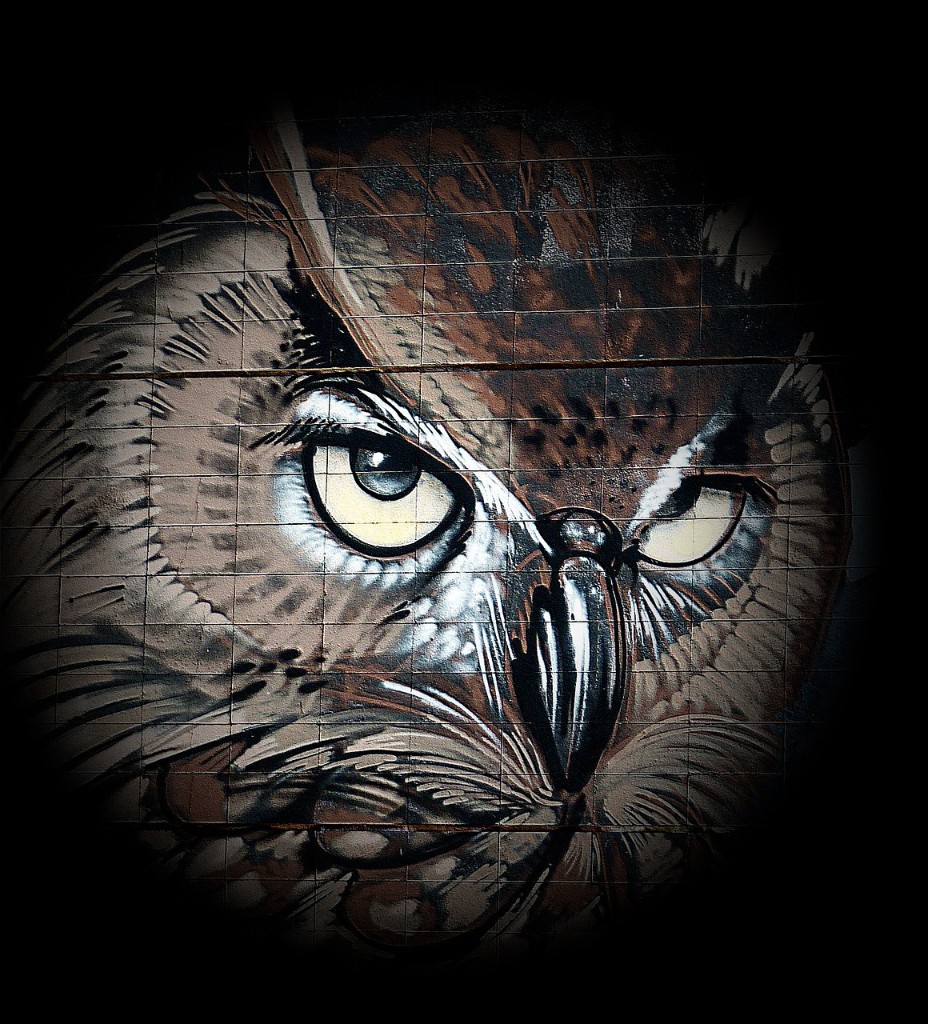 Owl mural — boof